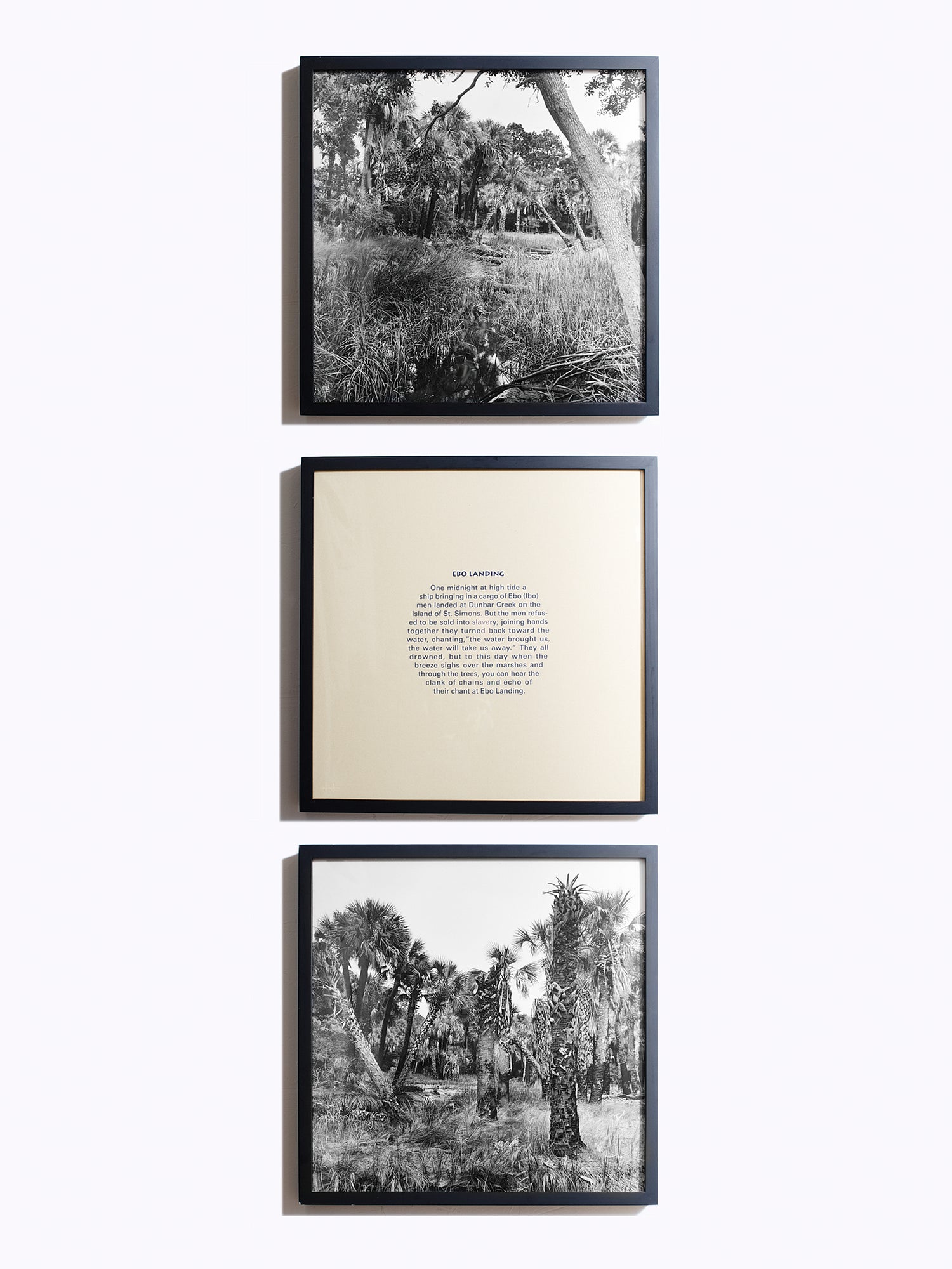 What Type of Collector Are You?