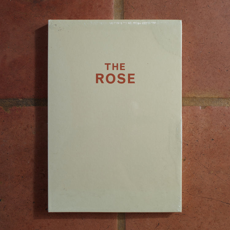 Cy Twombly - The Rose