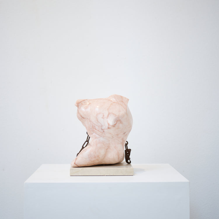 Drishti (Vision beyond the literal), 2014