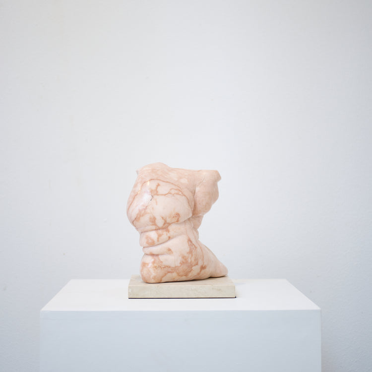 Drishti (Vision beyond the literal), 2014