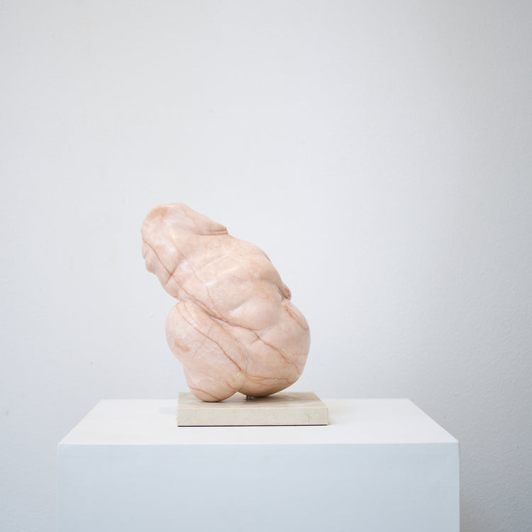 Porchia Mudra (Flesh Fold Series), 2014