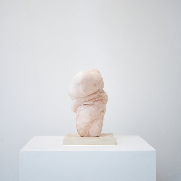 Ardha - Half Moon Pose, 2014