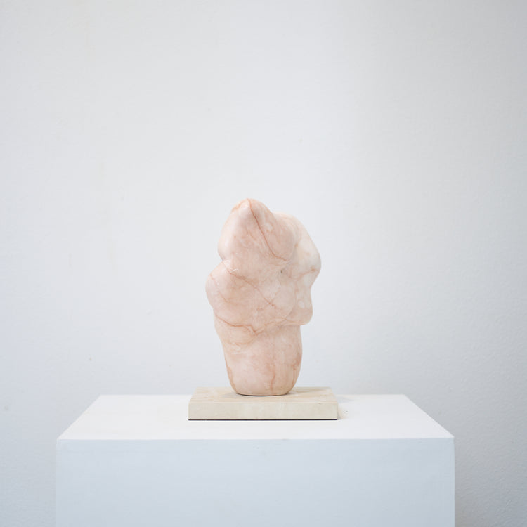 Ardha - Half Moon Pose, 2014