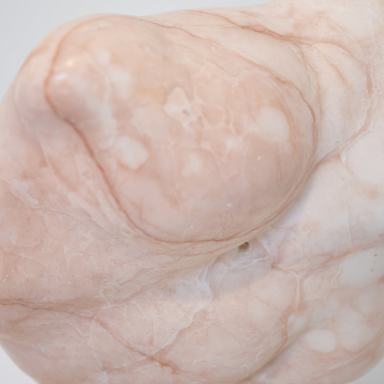Porchia Mudra (Flesh Fold Series), 2014