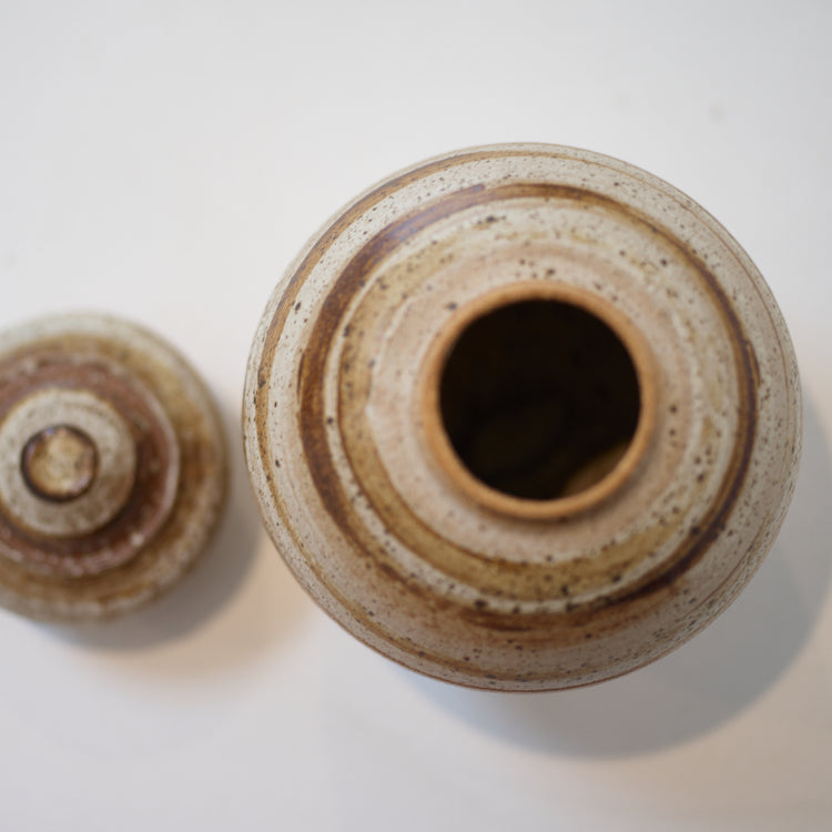 Birch Series (Pot VI), 2022