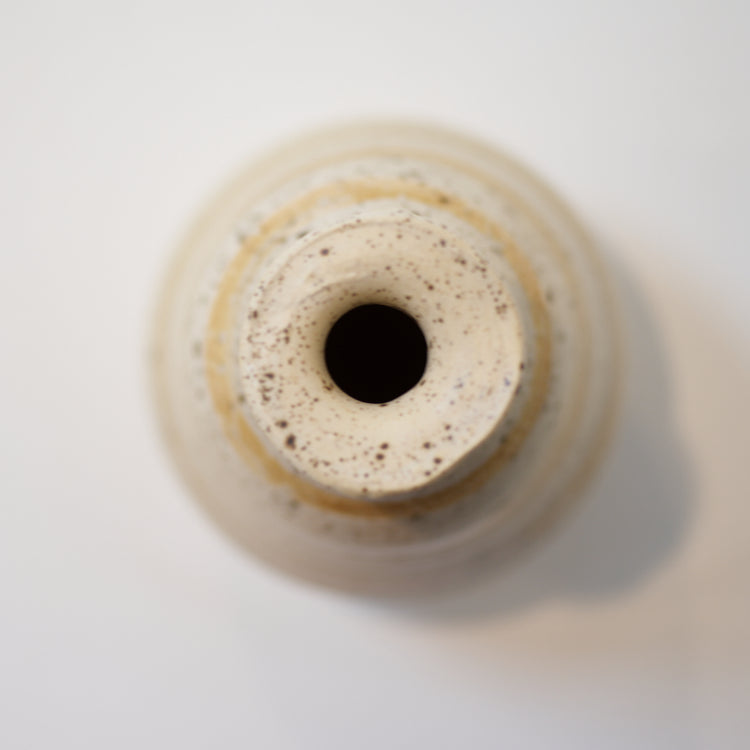 Birch series (Pot II), 2022