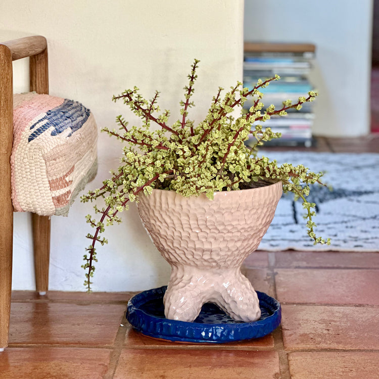 Beatlejuice Planter with blue base, 2021