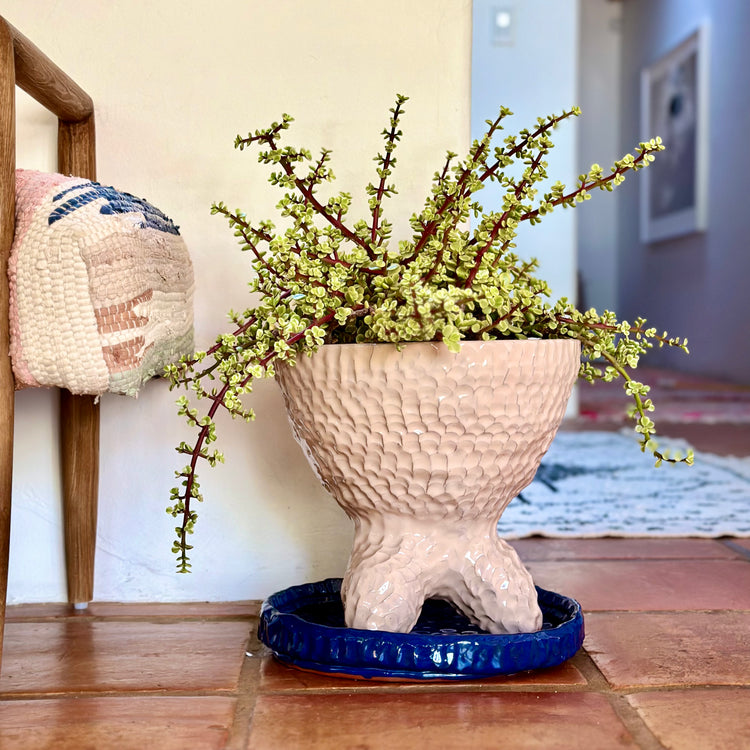 Beatlejuice Planter with blue base, 2021