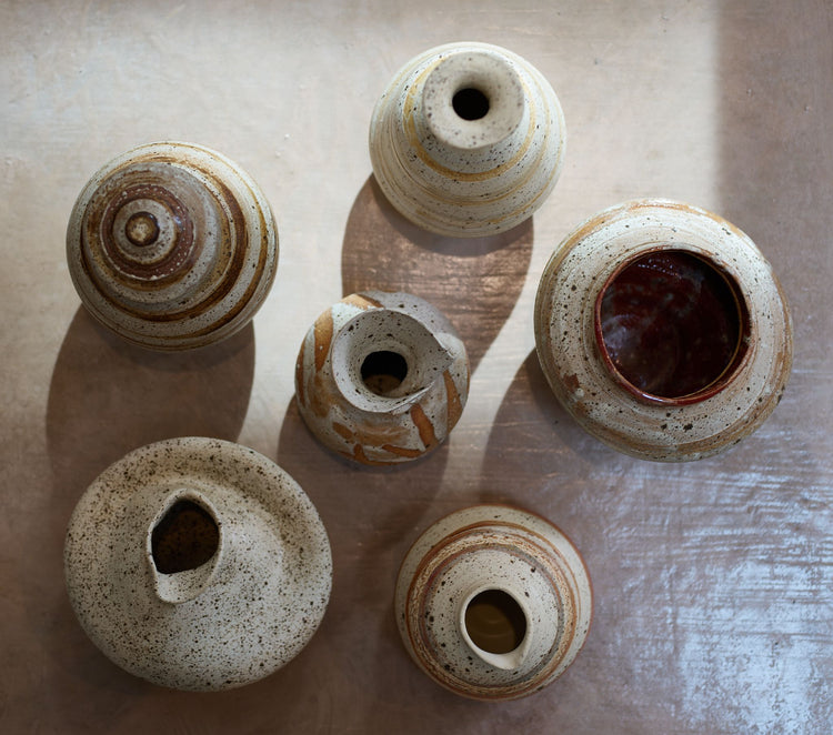 Birch series (Pot V), 2022