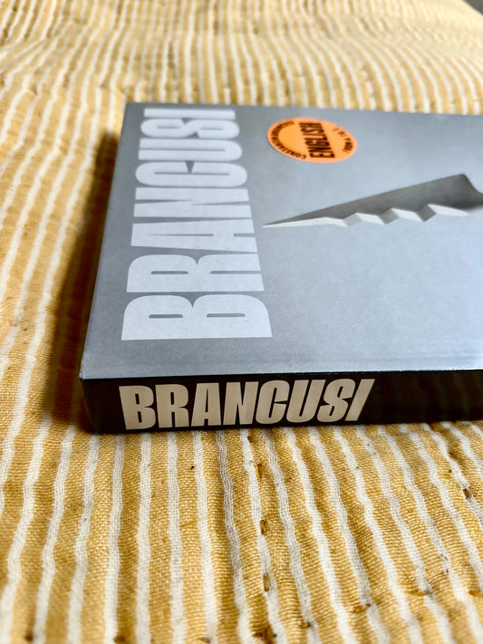 Brancusi Book