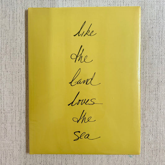 Mary Weatherford - like the land loves the sea Book