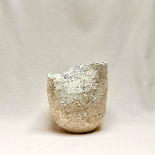 Ashen Bowl, 2022
