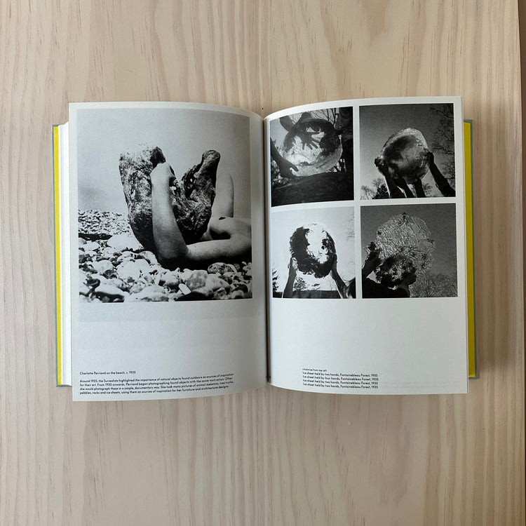 Charlotte Perriand - the Modern Life Book