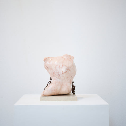 Drishti (Vision beyond the literal), 2014