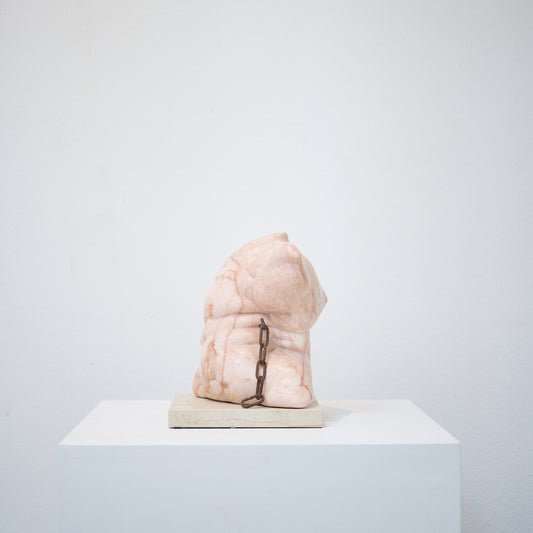 Drishti (Vision beyond the literal), 2014