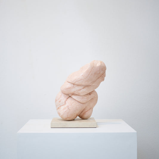 Porchia Mudra (Flesh Fold Series), 2014
