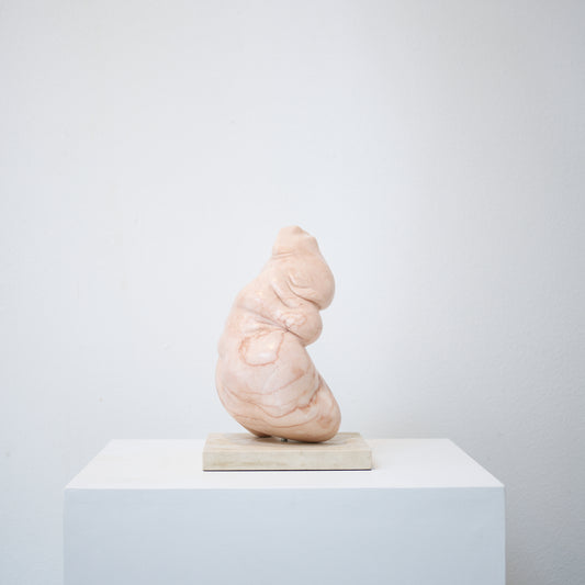 Porchia Mudra (Flesh Fold Series), 2014