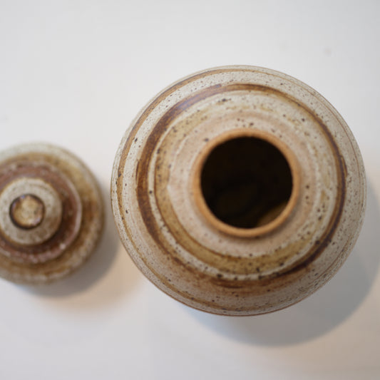 Birch Series (Pot VI), 2022