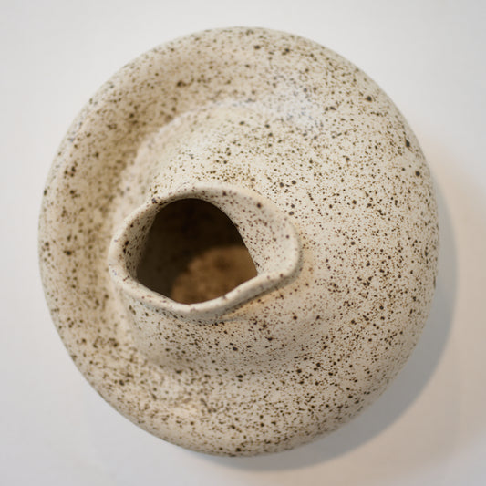 Birch series (Pot I), 2022